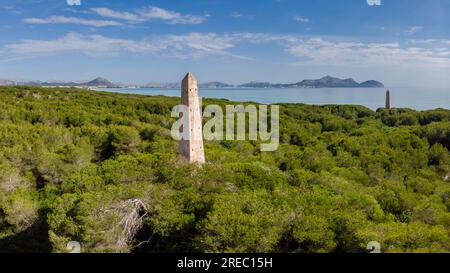 Hauptpunkte, Es Comú, Àrea Natural d'Especial Interès, im Naturpark S'Albufera, Muro, Bahía de Alcúdia, Mallorca, Balearen I Stockfoto