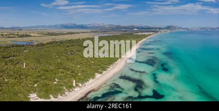 Es Comú, Àrea Natural d'Especial Interès, im Naturpark von s'Albufera, Muro, bahía de Alcúdia, Mallorca, Balearen, Spanien Stockfoto