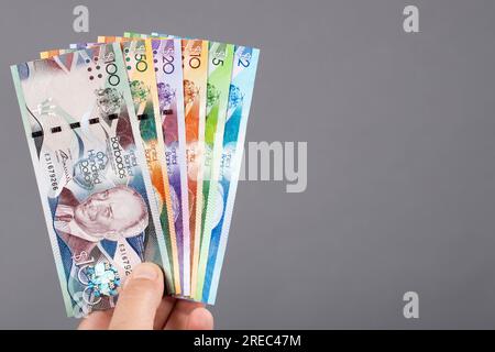 Barbadianisches Geld - Dollar in der Hand auf grauem Hintergrund Stockfoto