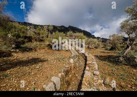 Traditioneller Graben im Orient Valley, Mallorca, Balearen, Spanien Stockfoto