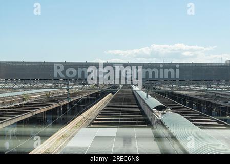 30. April 2022 in Rom, Italien: Schild für Bahnhof Termini und Gleise in Rom am sonnigen Nachmittag Stockfoto