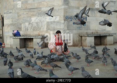 Jodhpur, Indien. 26. Juli 2023. Eine Dame füttert am Mittwoch, den 26. Juli 2023, Vögel in Udaipur, Rajasthan, Indien. Udaipur in Rajasthan wird auch als Stadt der Seen bezeichnet. Foto: Anshuman Akash/ABACAPRESS.COM Kredit: Abaca Press/Alamy Live News Stockfoto