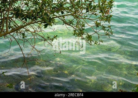 Llac de Banyoles, Pla de l'Estany, Katalonien, Spanien. Juli 2023 Stockfoto