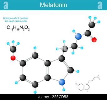 Melatoninmolekül. Molekularchemische Strukturformel und Modell des nachts im Gehirn freigesetzten Hormons, das den Schlaf-wach-Zyklus steuert Stock Vektor