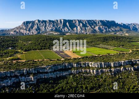 Saint Antonin de Bayon (Südostfrankreich): Reben des Weinanbaugebiets „Domaine des Masques“ auf dem Cengle-Plateau am Boden des Sai Stockfoto