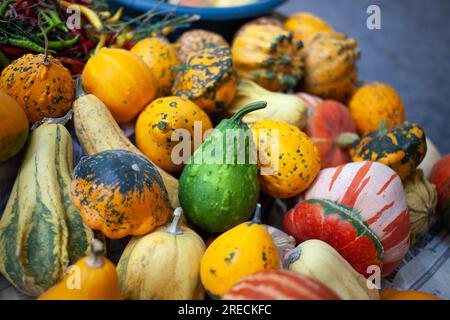 Kleine Kürbisse verschiedener Formen und Farben, Stille Leben Stockfoto