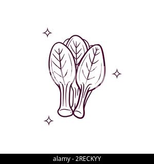 Handgezogener Pak Choi. Doodle Vector Sketch-Illustration Stock Vektor