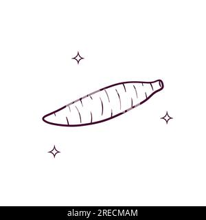 Handgezeichnete Kassava. Doodle Vector Sketch-Illustration Stock Vektor