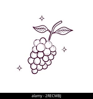Handgezeichnete Trauben. Doodle Vector Sketch-Illustration Stock Vektor