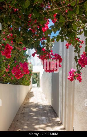 Ponta do Sol an der Südküste Madeiras genießt die meisten Sonnenstrahlen. Stockfoto