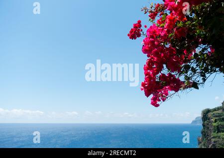 Ponta do Sol an der Südküste Madeiras genießt die meisten Sonnenstrahlen. Stockfoto