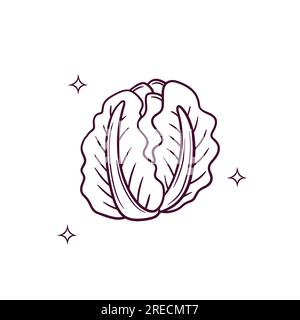 Handgezeichneter Kohl. Doodle Vector Sketch-Illustration Stock Vektor