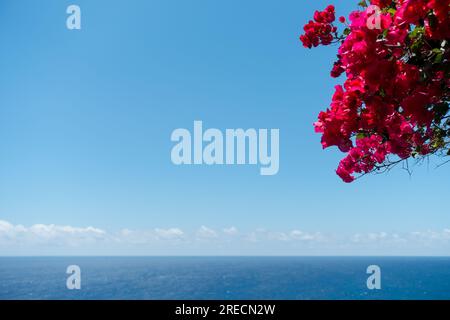 Ponta do Sol an der Südküste Madeiras genießt die meisten Sonnenstrahlen. Stockfoto