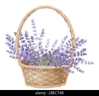 Lavendel in einem Korb. Handgezeichnete Aquarell-Illustration mit einem Strauß wilder Blumen der Provinz auf einem isolierten weißen Hintergrund. Ein Haufen Lavandin für Blumengrußkarten oder Hochzeitseinladungen. Stockfoto