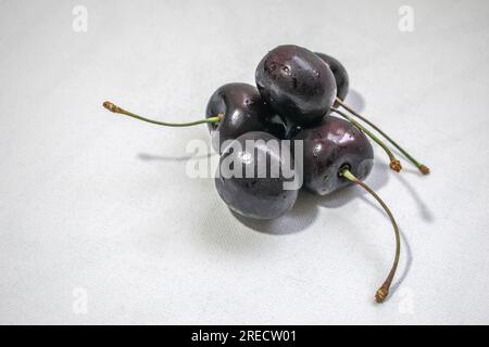 Black Cherry: Ein eindrucksvolles Bild mit einer dunklen schwarzen Kirsche auf einem strahlend weißen Hintergrund, das ein optisch ansprechendes und auffälliges Kont Stockfoto