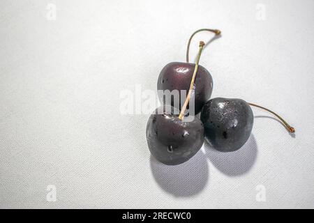 Black Cherry: Ein eindrucksvolles Bild mit einer dunklen schwarzen Kirsche auf einem strahlend weißen Hintergrund, das ein optisch ansprechendes und auffälliges Kont Stockfoto