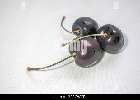 Black Cherry: Ein eindrucksvolles Bild mit einer dunklen schwarzen Kirsche auf einem strahlend weißen Hintergrund, das ein optisch ansprechendes und auffälliges Kont Stockfoto