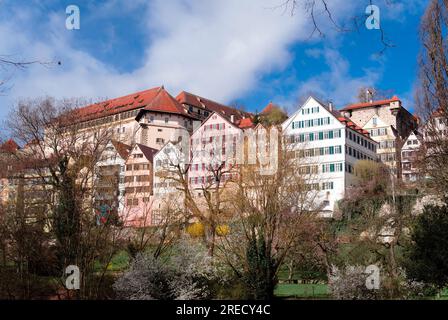 Tübingen Altstadt mit Schloss Stockfoto