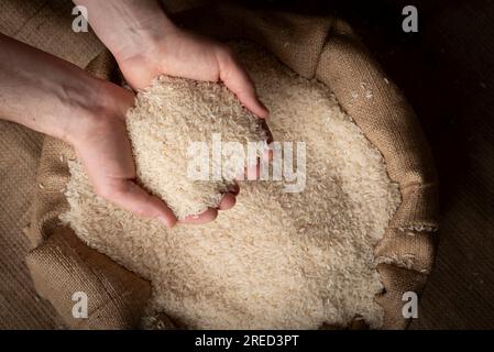 Menschliche Hände halten eine Hand voll Reis über einem Leinensack Stockfoto