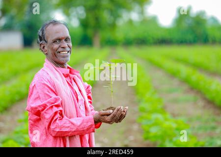 Ein indischer glücklicher Bauer, der den Baumwoll-Baum in der Hand hält, glücklicher Bauer Stockfoto