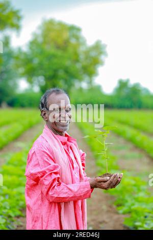 Ein indischer glücklicher Bauer, der den Baumwoll-Baum in der Hand hält, glücklicher Bauer Stockfoto