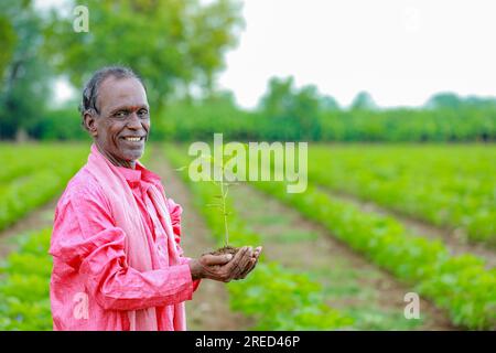 Ein indischer glücklicher Bauer, der den Baumwoll-Baum in der Hand hält, glücklicher Bauer Stockfoto