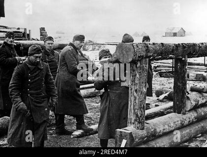 Deutsche Soldaten bauen einen Unterschlupf an der Ostfront. Foto: Kustermann. [Maschinelle Übersetzung] Stockfoto
