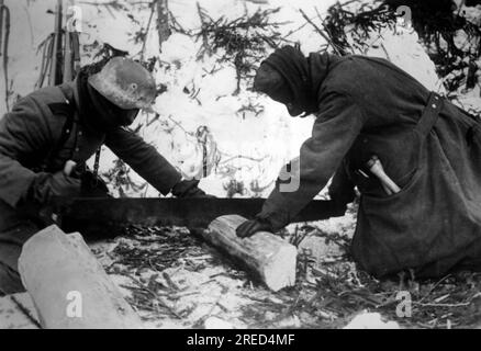Deutsche Soldaten schneiden Holz für den Bau ihres Bunkers nahe Brechowo an der Ostfront. Foto: Trautvetter. [Maschinelle Übersetzung] Stockfoto