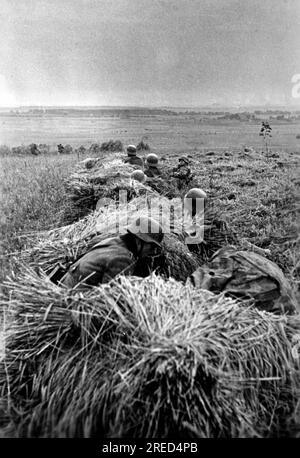 Deutsche Soldaten suchten Schutz auf einem Feld. Foto: Habedank. [Maschinelle Übersetzung] Stockfoto