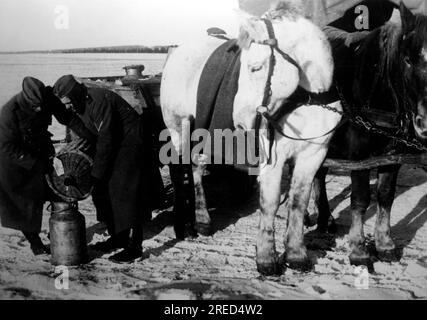 Während des deutschen Angriffs auf Moskau im zentralen Teil der Ostfront füllen Soldaten Rum in einen Krug in einer Rationsstation. Foto: Gebauer. [Maschinelle Übersetzung] Stockfoto