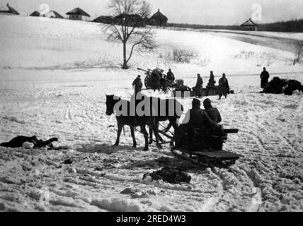 Deutsche Artillerie an der Ostfront nahe Bairak. Im Hintergrund ein 10,5cm-Jahre-Haubitzer. Foto: Schneider. [Maschinelle Übersetzung] Stockfoto