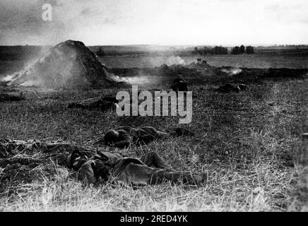 Tote russische Soldaten in Gefangenschaft während der deutschen Offensive gegen Moskau. Foto: Habedank. [Maschinelle Übersetzung] Stockfoto