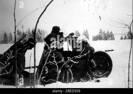 Deutsche Soldaten mit einem 3,7cm pak 36 in der Region Istra-Klin. Foto: E. Bauer. [Maschinelle Übersetzung] Stockfoto