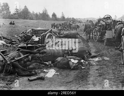 Die Truppe wurde von deutschen Artilleriefeuern auf einer Straße zerstört. Foto: Schulze [maschinelle Übersetzung] Stockfoto