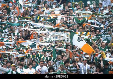 FB EM 1988 / England - Irland 0:1 / irische Fans in der Fan-Kurve [automatisierte Übersetzung] Stockfoto