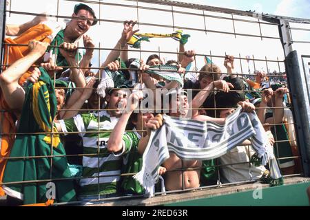 FB EM 1988 / England - Irland 0:1 / Irish Fans [automatisierte Übersetzung] Stockfoto