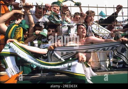 FB EM 1988 / England - Irland 0:1 / irische Fans , Fans , Zuschauer [automatisierte Übersetzung] Stockfoto