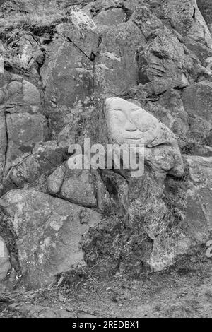Face, Rock Art Carvings, Teil des Stone & man-Projekts des lokalen Künstlers alias Høegh auf Qaqortoq, Grönland im Juli - monochrom, schwarz und weiß Stockfoto