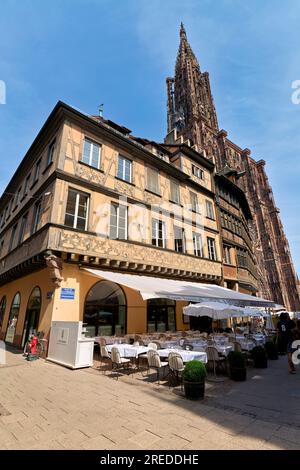 Straßburg Elsass Frankreich. Das Kammerzell-Haus und die Kathedrale Stockfoto