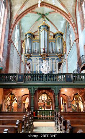 Straßburg Elsass Frankreich. Die protestantische Kirche Saint Pierre le Jeune. Die Pfeifenorgel Stockfoto