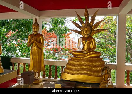 Statue des Buddha Symbol des Tages der Woche - Freitag und Samstag Stockfoto