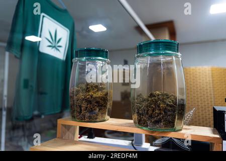 Legalisierung leichter Drogen in Thailand. Ein Laden, der Marihuana-Drogen in pattaya, thailand, verkauft. Glasgefäße mit verschiedenen Cannabissorten auf der Theke Stockfoto