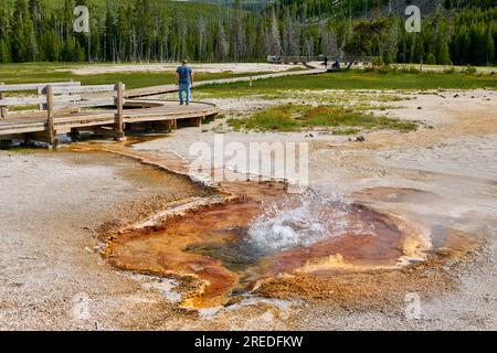 Taschentuch-Pool, Black Sand Basin, Yellowstone-Nationalpark, Wyoming, Vereinigte Staaten von Amerika Stockfoto