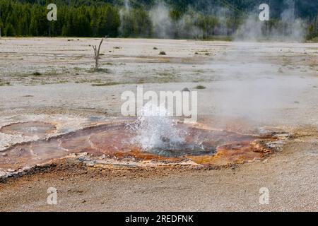 Taschentuch-Pool, Black Sand Basin, Yellowstone-Nationalpark, Wyoming, Vereinigte Staaten von Amerika Stockfoto