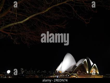 Ein allgemeiner Blick auf das Sydney Opera House, Sydney. Foto: Donnerstag, 27. Juli 2023. Stockfoto