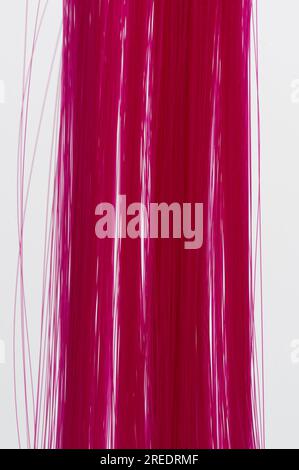 Rotes gerades Haar isoliert. Rosa lange Haarperücke Stockfoto