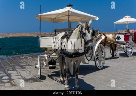 Traditionelle Pferde und Kutschen warten am alten venezianischen Hafen in Chania, Kreta Stockfoto