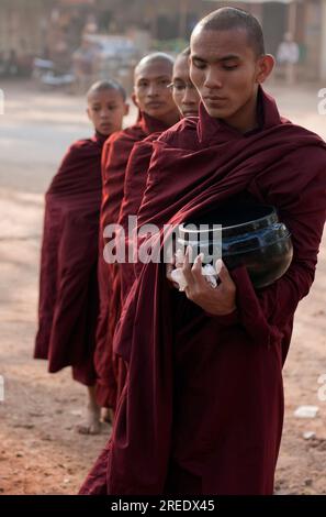 BAGAN, MYANMAR: Vier buddhistische Mönche gehen am frühen Morgen auf einer Almosenrunde mit traditionellen Schüsseln durch die Gegend von Bagan. Stockfoto