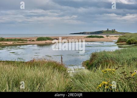 Embleton Burn bildet ein artenreiches Becken in den Sanddünen der Embleton Bay in Northumberland mit Dunstanburgh Castle im Hintergrund Stockfoto