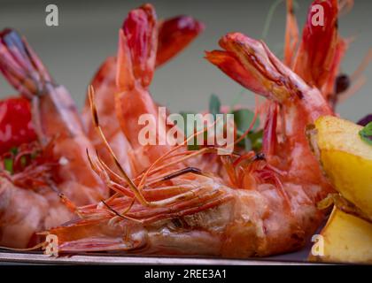 Garnelen vom Koch mit Tomaten und gebackenen Kartoffeln zubereitet. Nahaufnahme mit Details. Stockfoto